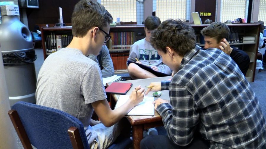 Freshman: A New Beginning